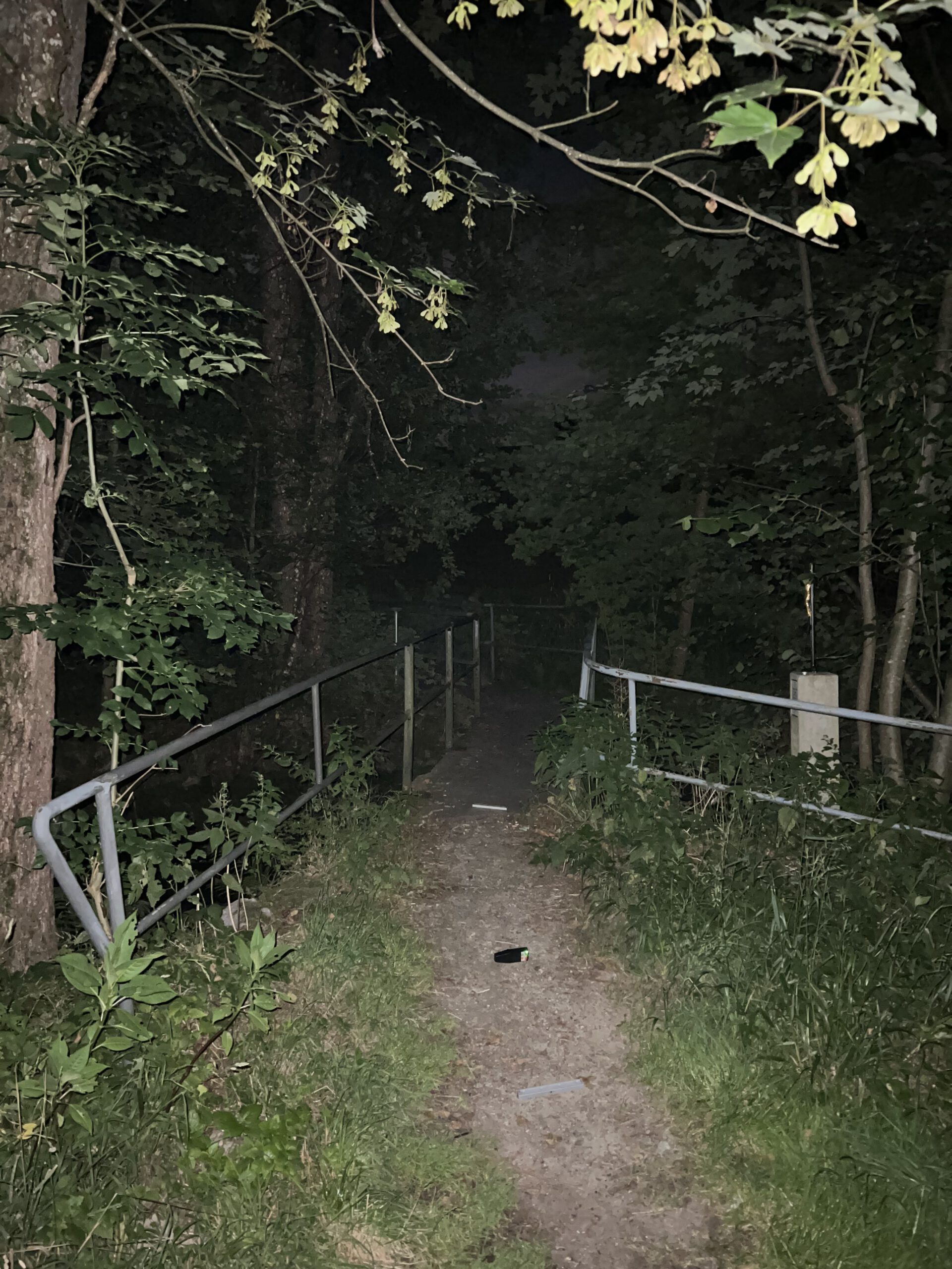 Brücke mit Eisengeländer im Wald, die über einen Fluss führt