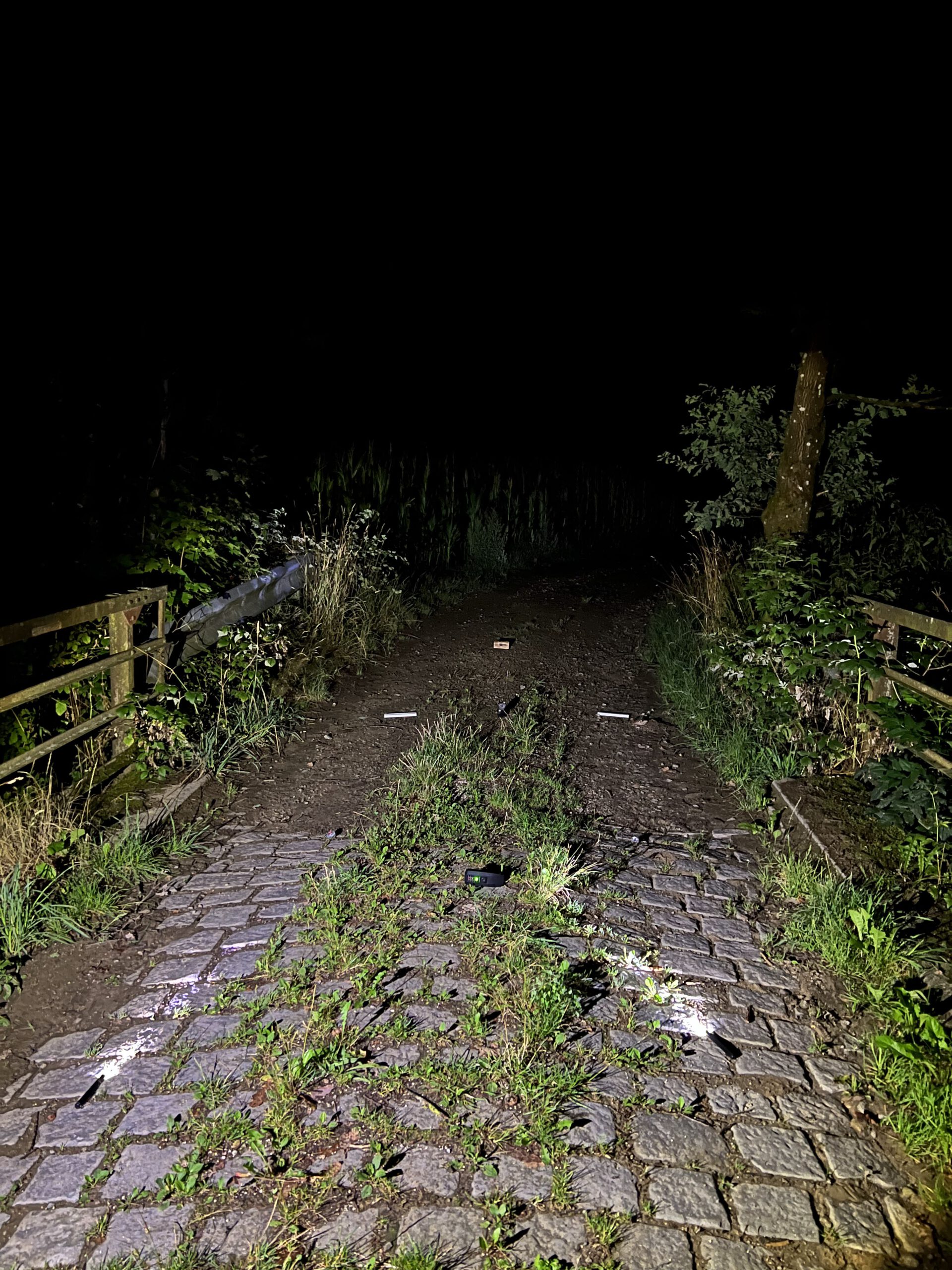 Steinbrücke bei Nacht, welche von beiden Seiten von grünen Blätter der Laubbäume eingerahmt sind.